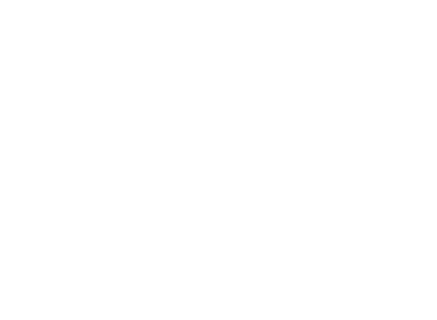 International Political Film Festival